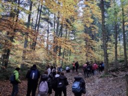 56620884712823990336880424751009764684921789n